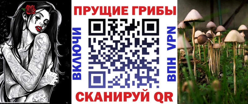 Галлюциногенные грибы GOLDEN TEACHER  Купить где  Ленинск 